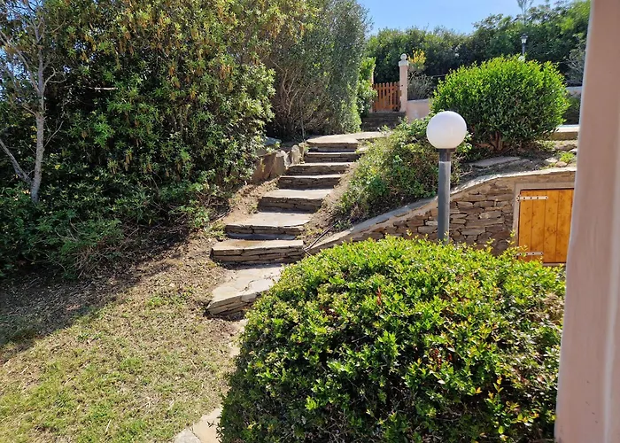 Iris * ستينتينو